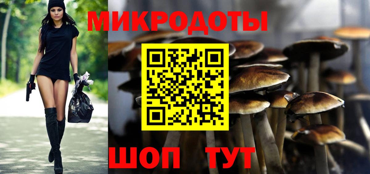 Галлюциногенные грибы MAGIC MUSHROOMS  Вход с VPN  Нижнекамск 