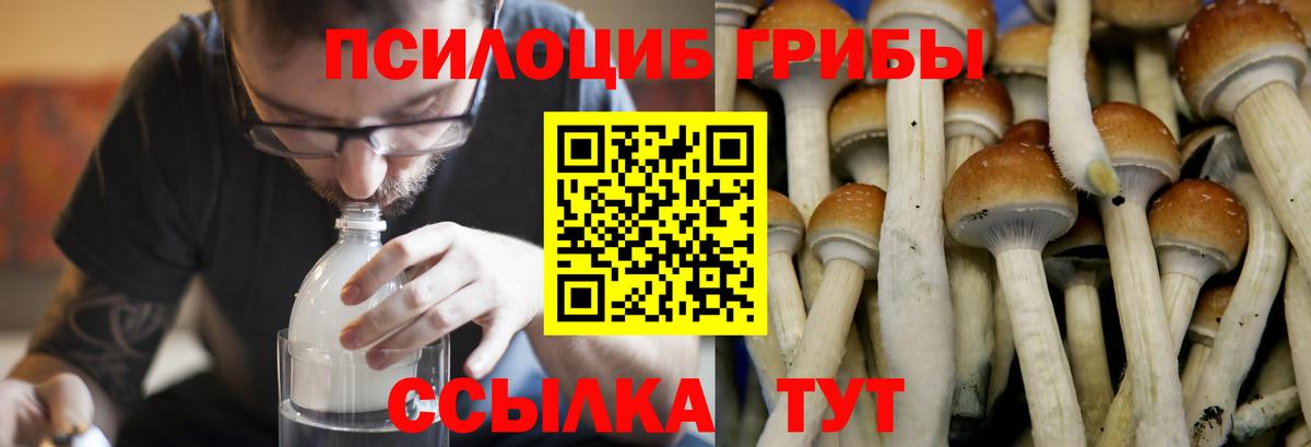 Псилоцибиновые грибы GOLDEN TEACHER Нижнекамск